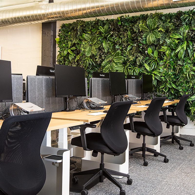 office with fresh plants on wall