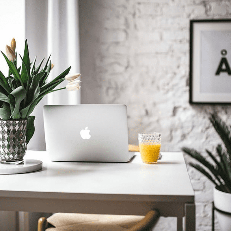 laptop, coffee mug, and plants on a desk